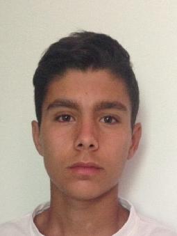 Francisco OSES MORENO