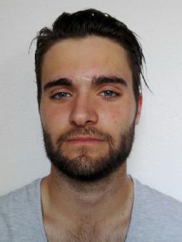 Marton Sandor MESZAROS