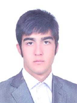 Babak DARBAN
