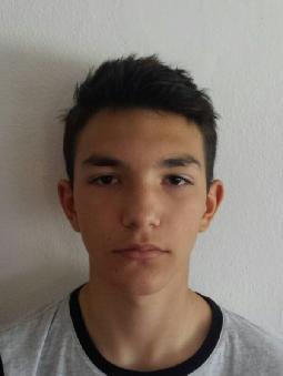 Leon SEFEROVIC