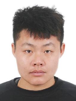 Luqi ZHANG