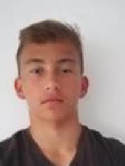 Martin VEGSE