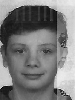Maximilian STRECK