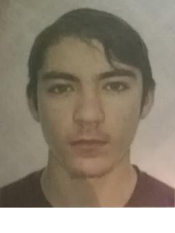 Ion BATRINCEA