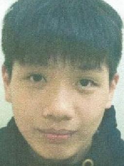 Shing Chi YU