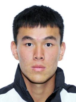 Jinshi WEI