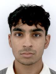 Shirav MEDEPALLI