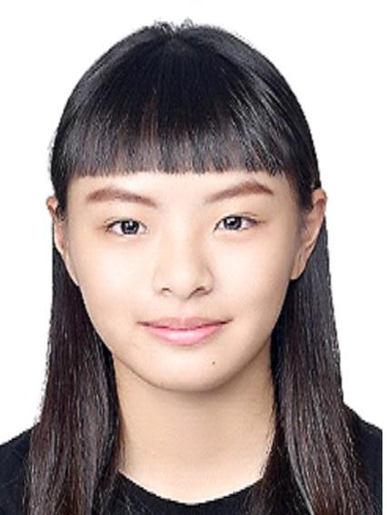 Li-Chin TSENG