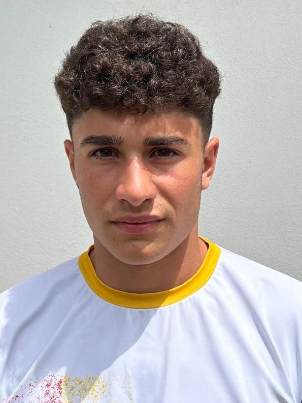 Nicusor-Laurentiu BADOIU