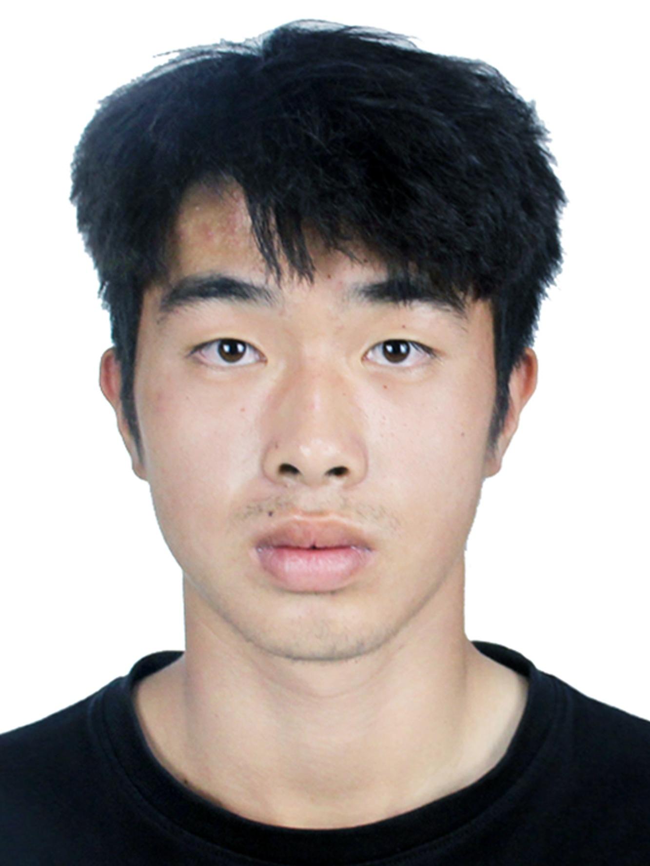 Haoyu WANG