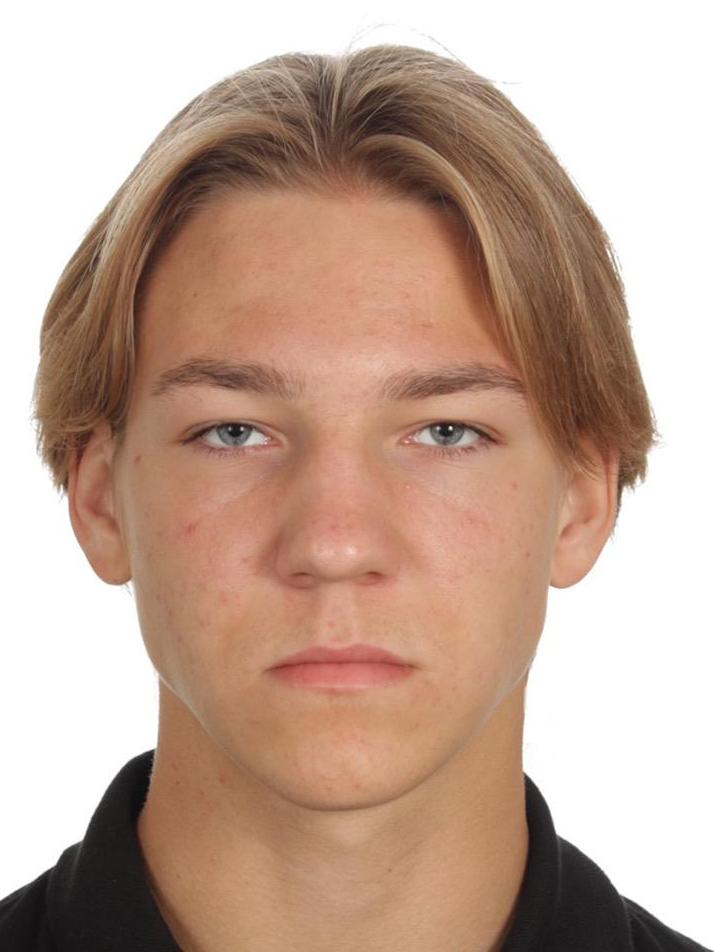 Aleksandr MINEEV