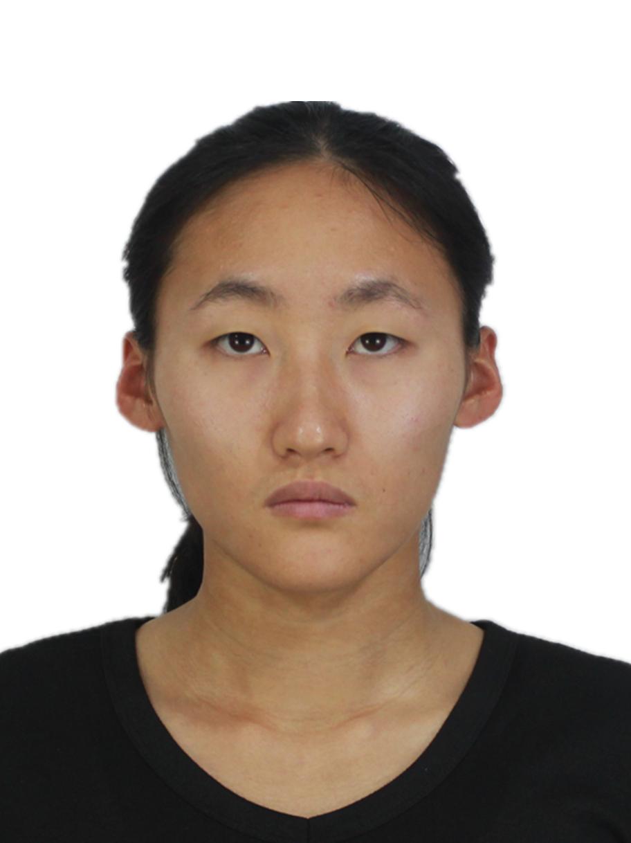 Shengjie JIANG